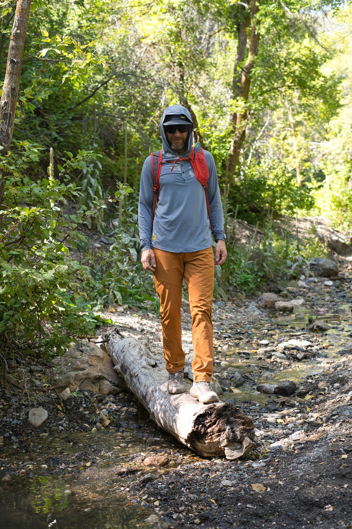 Gimlet Sun Hoodie